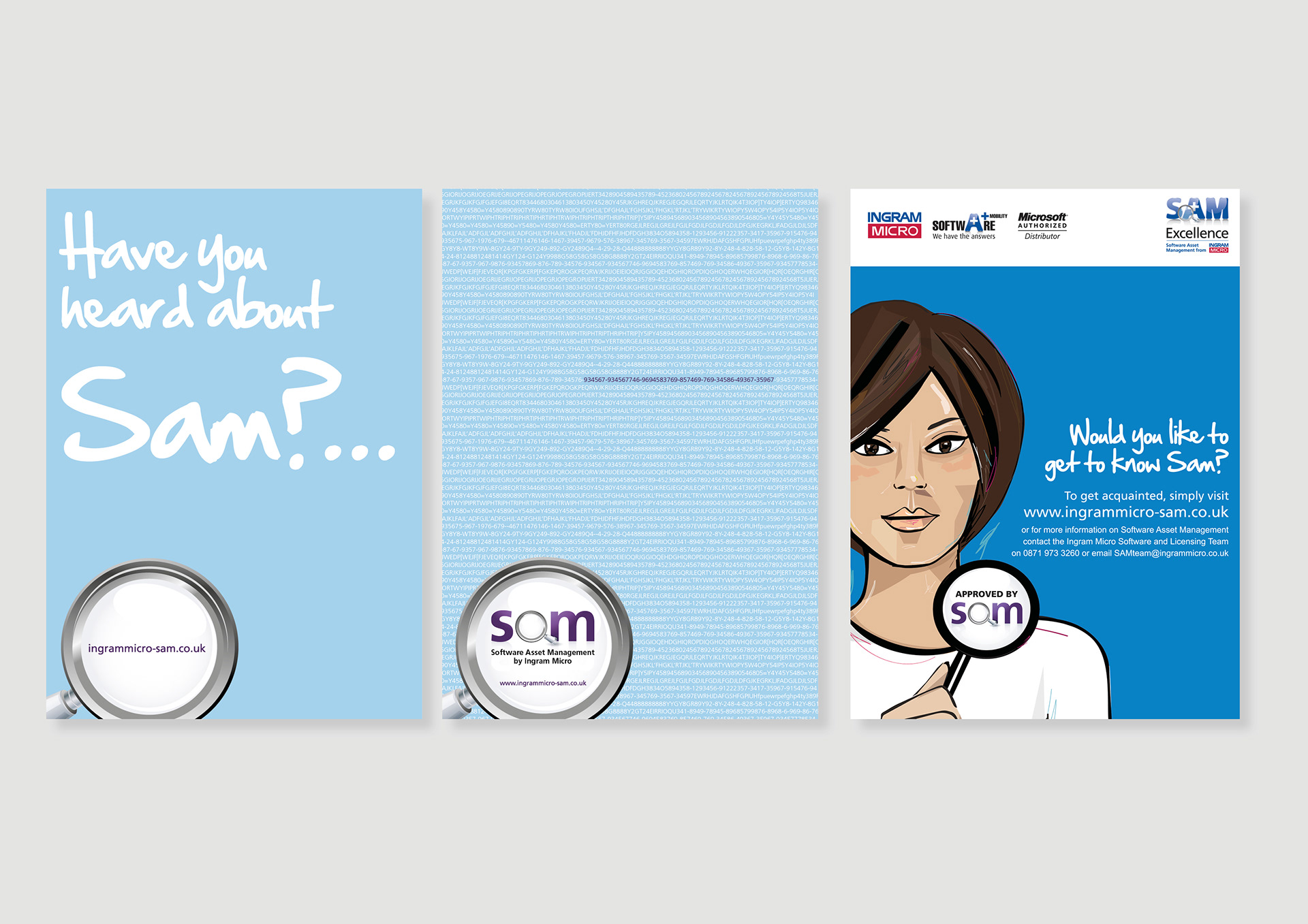 Sam – Ingram Micro