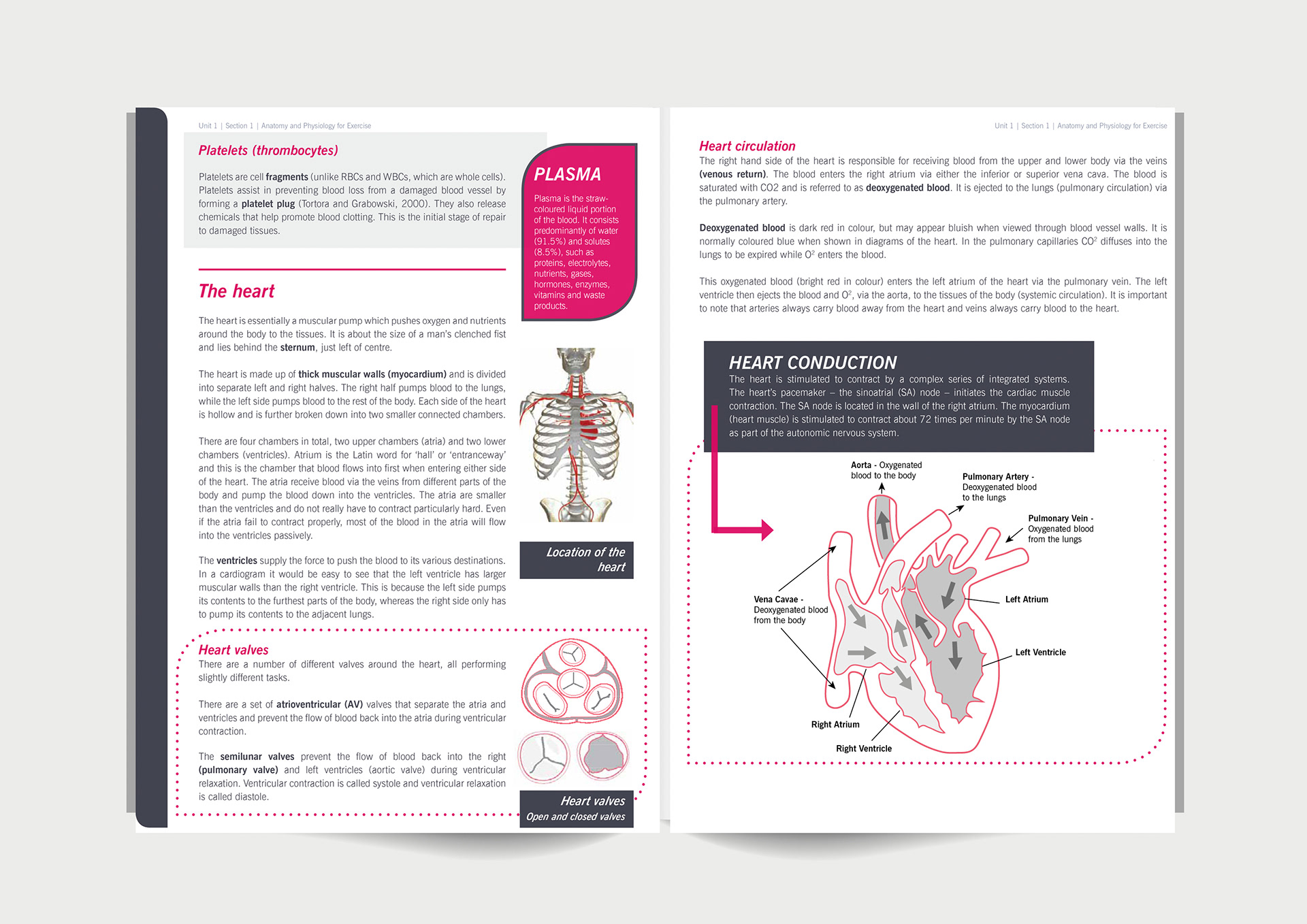 Fitness Manual – Premier Global