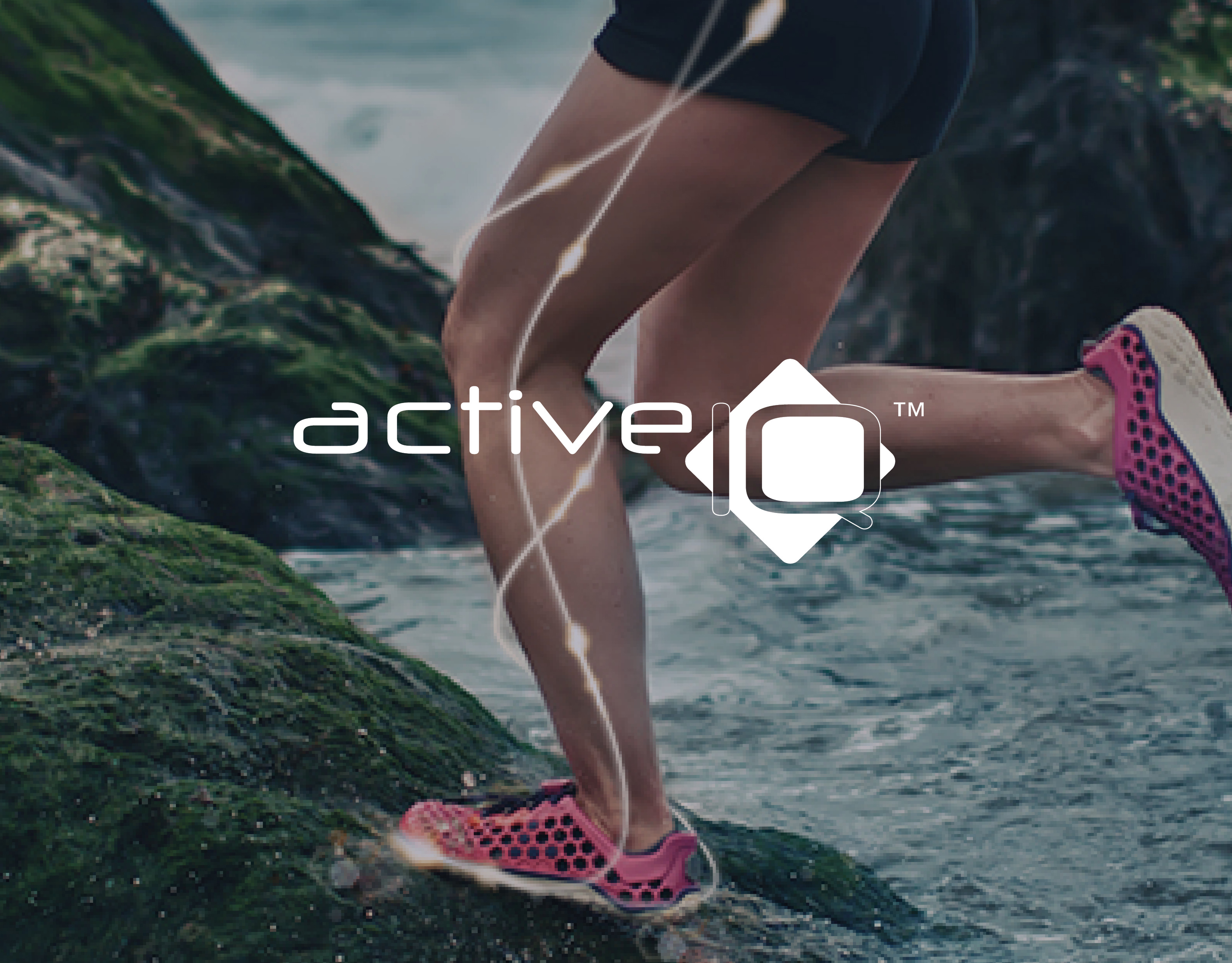 Prospectus design – Active IQ
